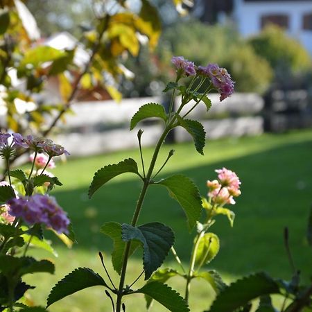 Pension Willibald Bad Tölz Buitenkant foto