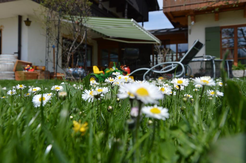 Pension Willibald Bad Tölz Buitenkant foto